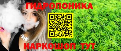 шишки Севастополь