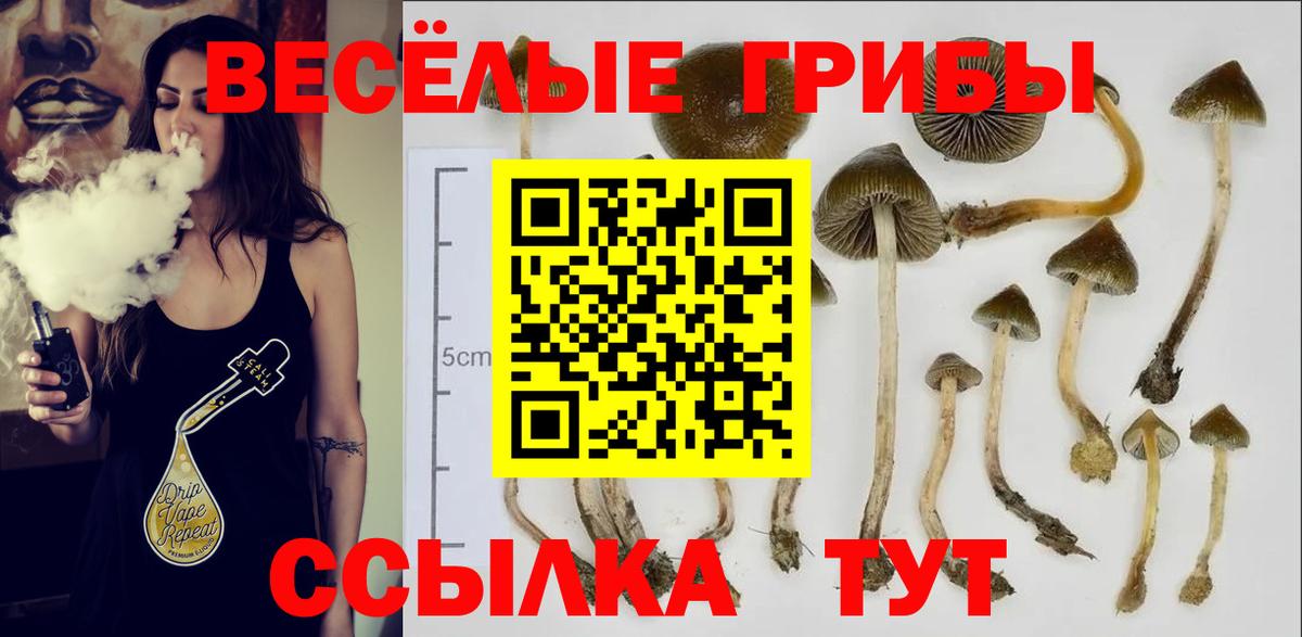 Псилоцибиновые грибы MAGIC MUSHROOMS  Вход с VPN  Анапа 